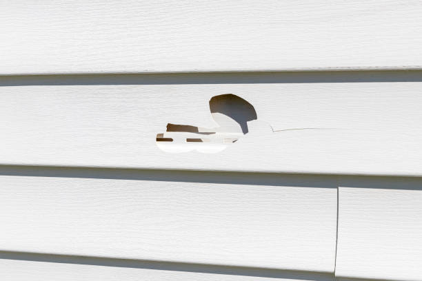 Best Construction Debris Removal  in Cold Spring Harbor, NY